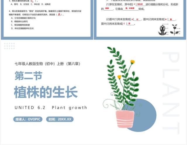 部编版七年级生物上册植株的生长课件PPT模板 部编版七年级生物上册植株的生长课件PPT模板