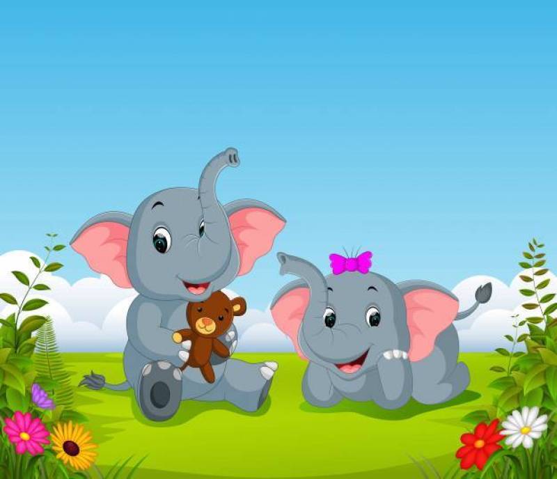 大象夫妇抱着小熊