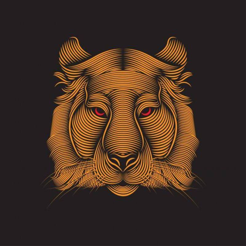Tiger line art illustration