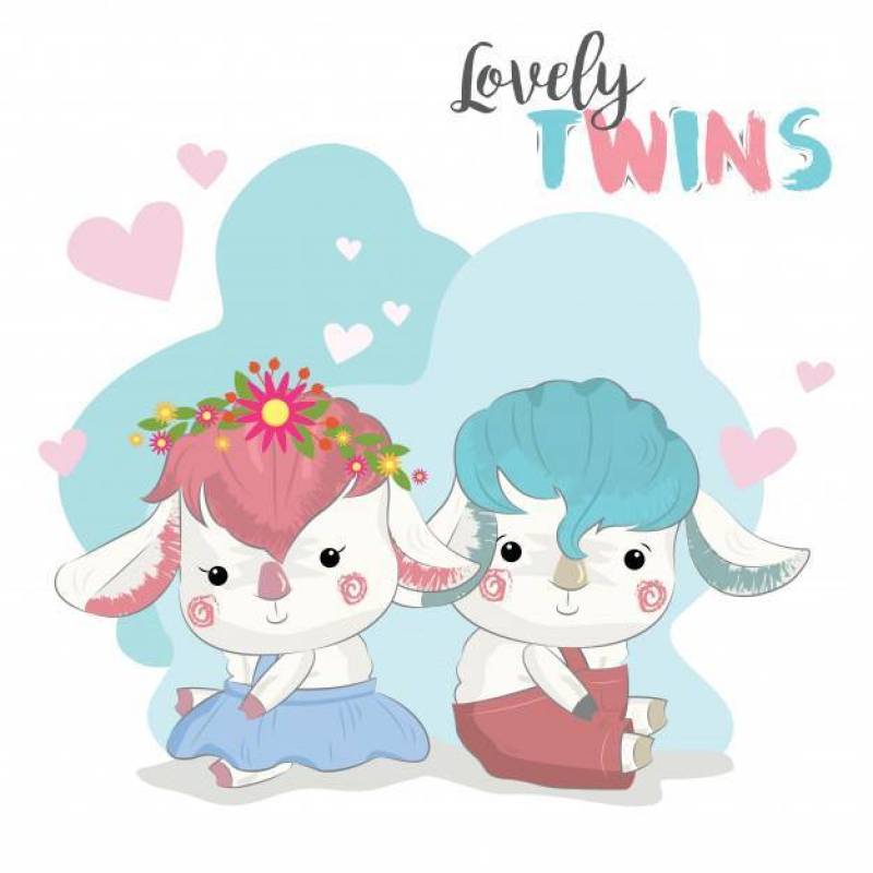 小羊双胞胎
