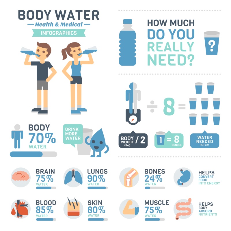 身体水信息图
