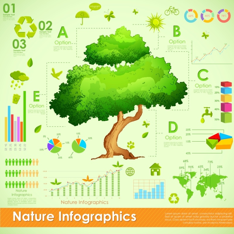 自然与生态矢量信息图24