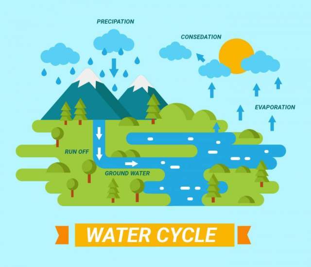 在自然向量中的水循环