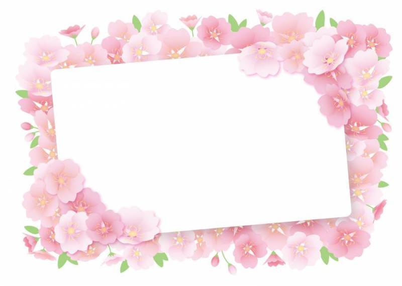 樱花框架，背景，A4水平，与油漆