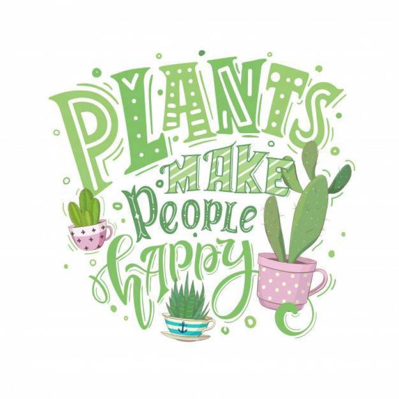 植物让人开心