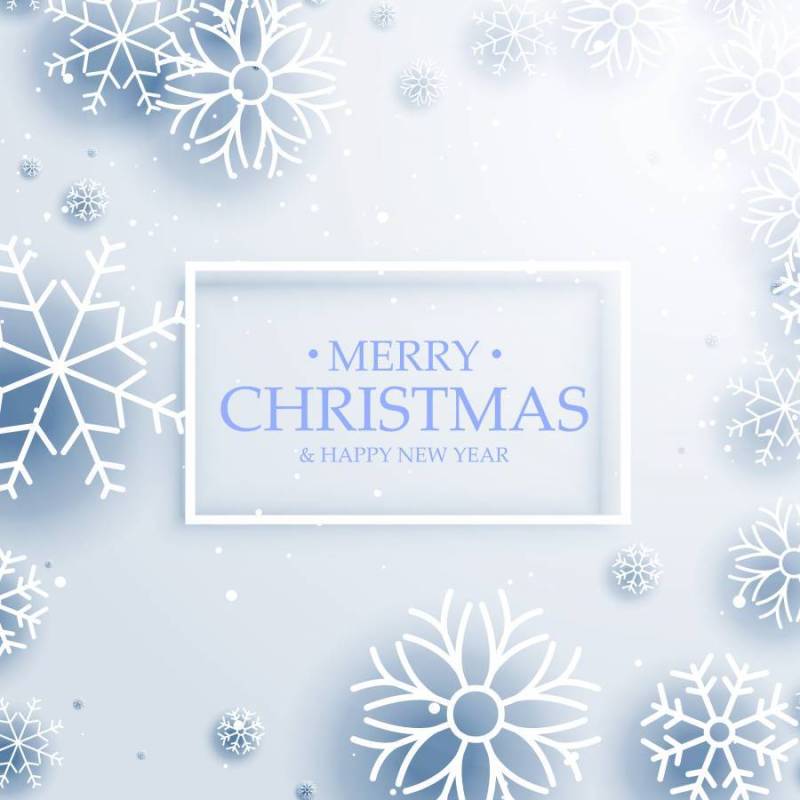 美丽的冬天雪花在白色背景上。圣诞节快乐