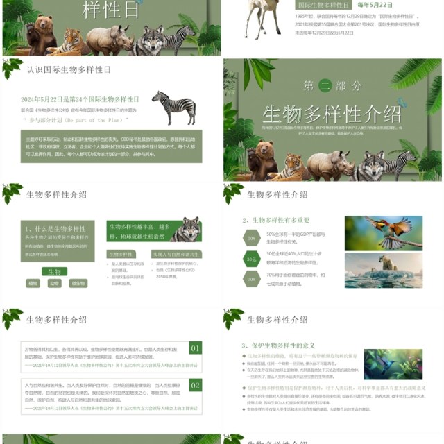 绿色简约风生物多样性国际日PPT模板 绿色简约风生物多样性国际日PPT模板