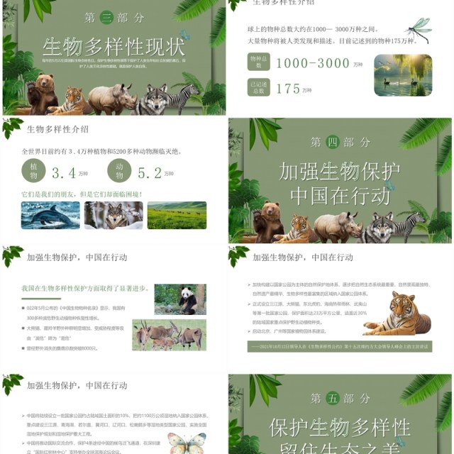 绿色简约风生物多样性国际日PPT模板 绿色简约风生物多样性国际日PPT模板