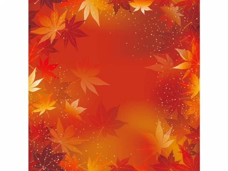 无缝的秋天矢量背景图。
