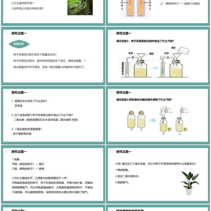 人教版七年级生物上册绿色植物的呼吸作用课件PPT模板