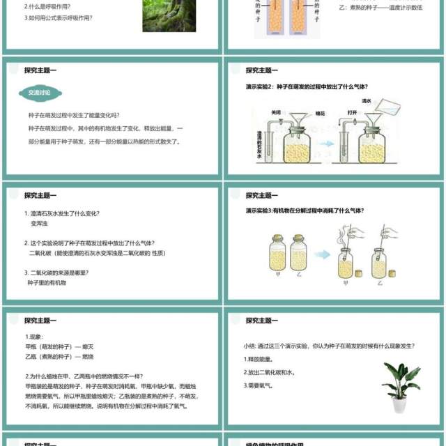 人教版七年级生物上册绿色植物的呼吸作用课件PPT模板