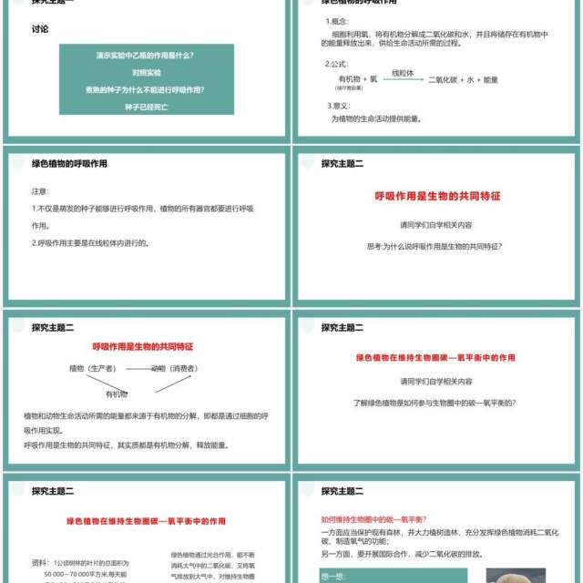 人教版七年级生物上册绿色植物的呼吸作用课件PPT模板