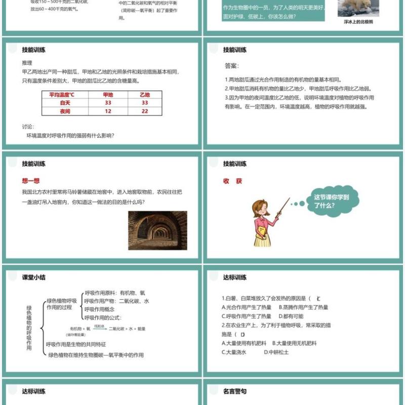 人教版七年级生物上册绿色植物的呼吸作用课件PPT模板