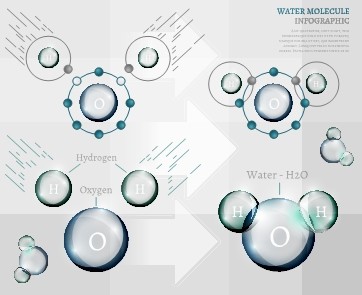 信息图表生物气泡20