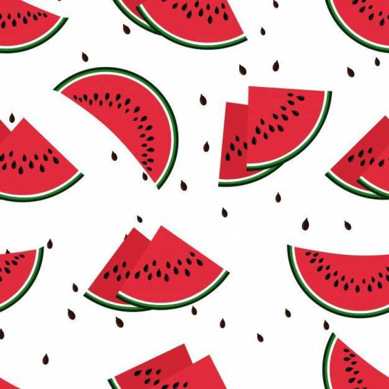 Red watermelon slices seamless vector pattern