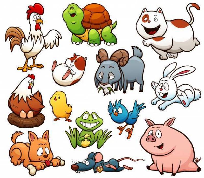 Cartoon Farm Animals Character