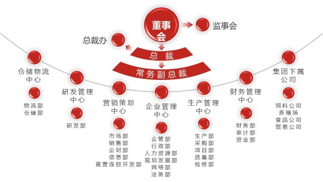 深红组织结构PPT图表-21