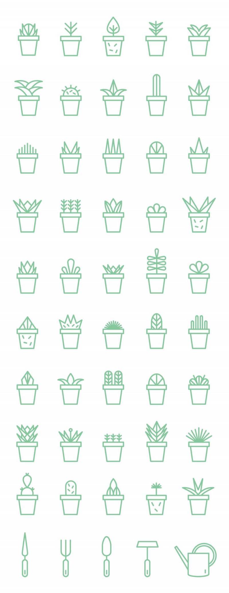 Succulent Icon Set