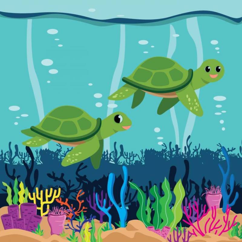 海龟的插图