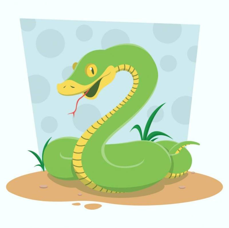 蛇的插图