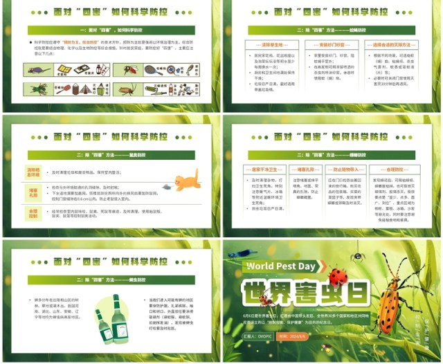 绿色插画风世界害虫日知识宣传PPT模板 绿色插画风世界害虫日知识宣传PPT模板