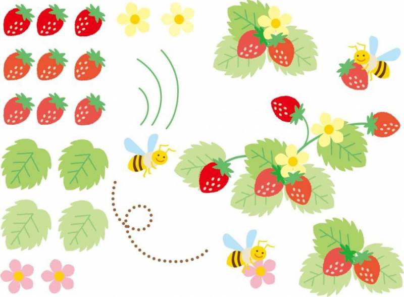 草莓和蜜蜂