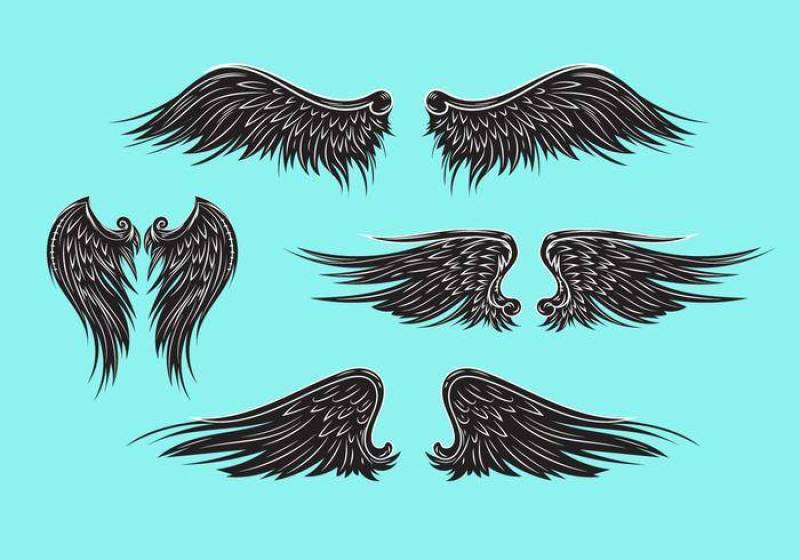 矢量纹章翅膀或天使