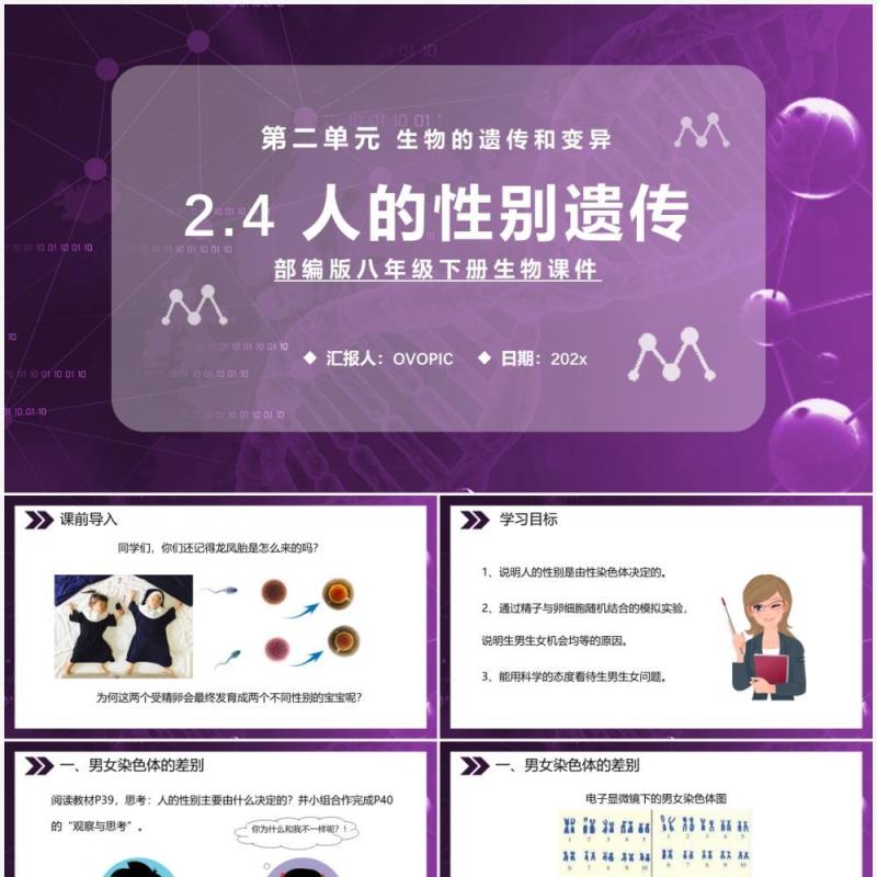 部编版八年级生物下册人的性别遗传课件PPT模板