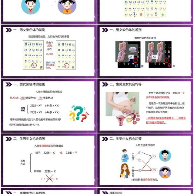 部编版八年级生物下册人的性别遗传课件PPT模板