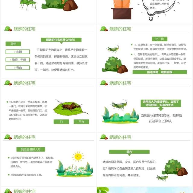 部编版四年级语文上册蟋蟀的住宅课件PPT模板 部编版四年级语文上册蟋蟀的住宅课件PPT模板