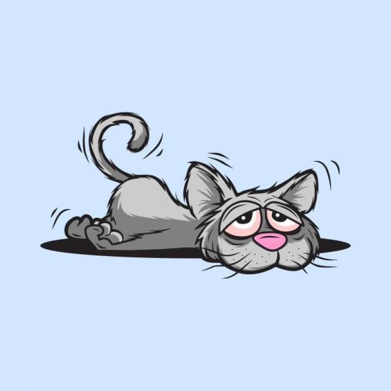 Vector hand drawn portrait of white cat with a pink bow.