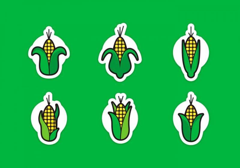 玉米秸秆 矢量包