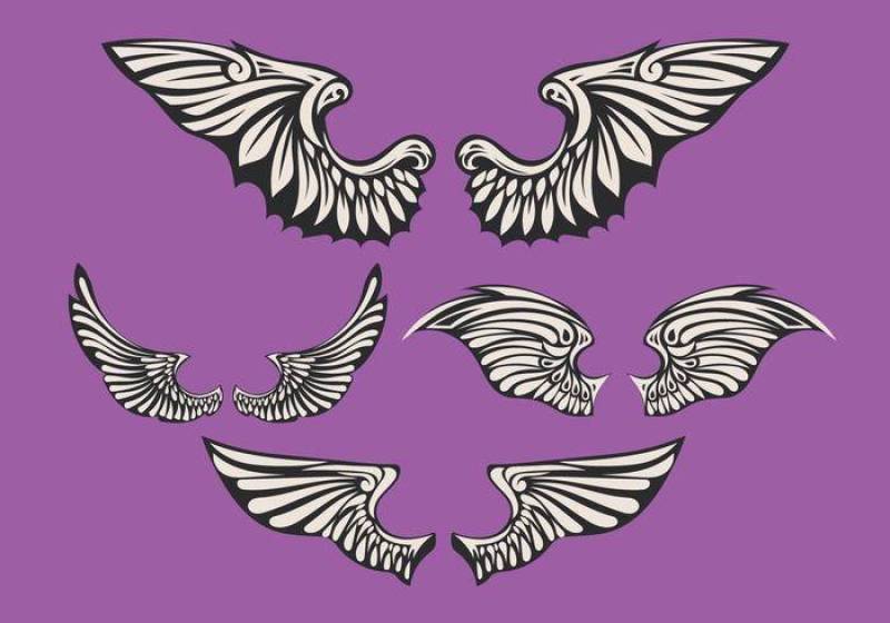套白色的翅膀与紫罗兰色的背景