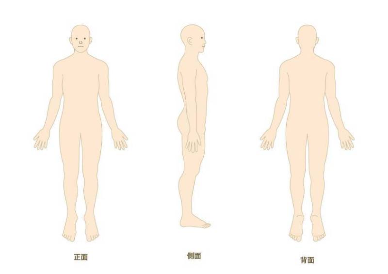 男性人体例证01