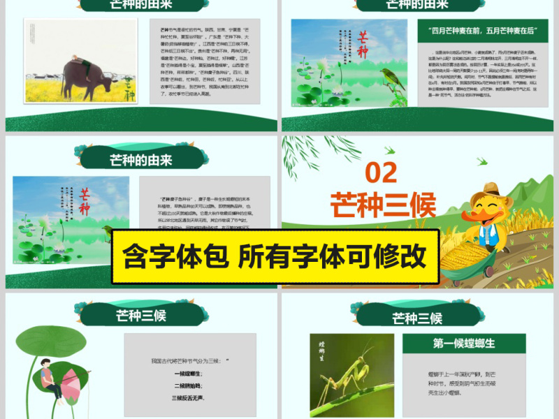 原创绿色清新芒种节气中国二十四节气PPT班会-版权可商用