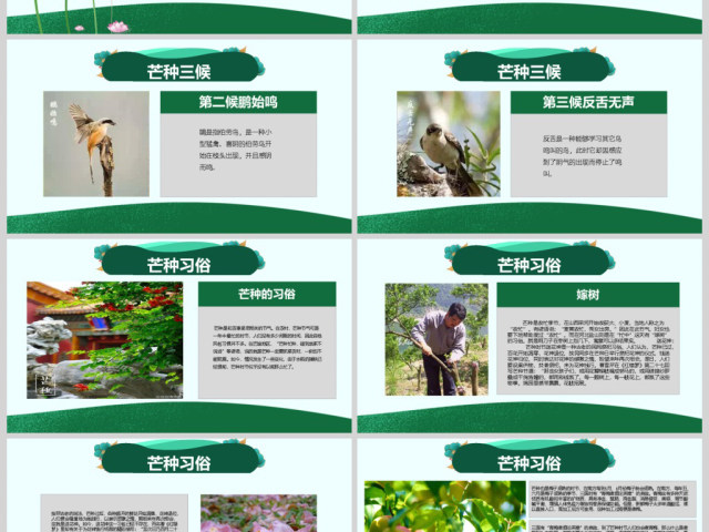 原创绿色清新芒种节气中国二十四节气PPT班会-版权可商用 原创绿色清新芒种节气中国二十四节气PPT班会-版权可商用