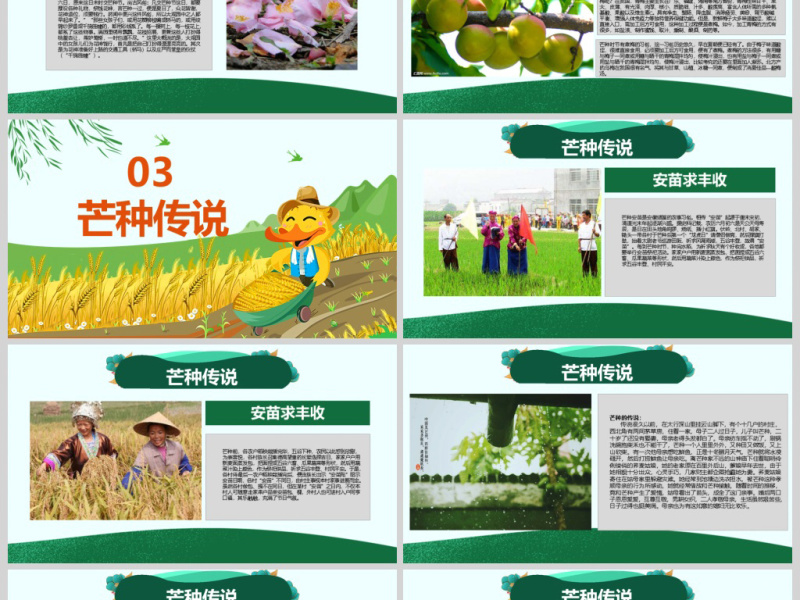原创绿色清新芒种节气中国二十四节气PPT班会-版权可商用