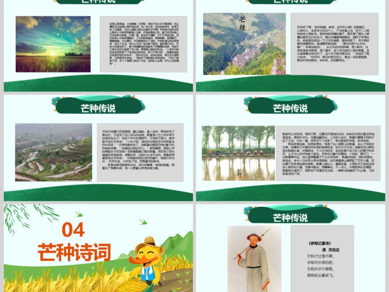 原创绿色清新芒种节气中国二十四节气PPT班会-版权可商用