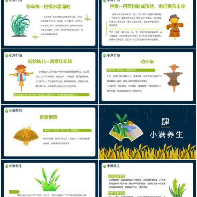 创意卡通风二十四节气小满传统节日介绍动态PPT模板