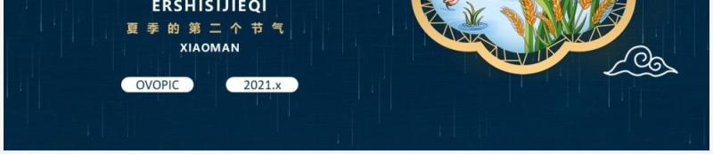 创意卡通风二十四节气小满传统节日介绍动态PPT模板