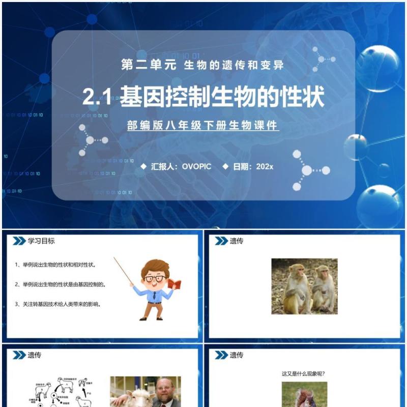 部编版八年级生物下册基因控制生物的性状课件PPT模板 部编版八年级生物下册基因控制生物的性状课件PPT模板