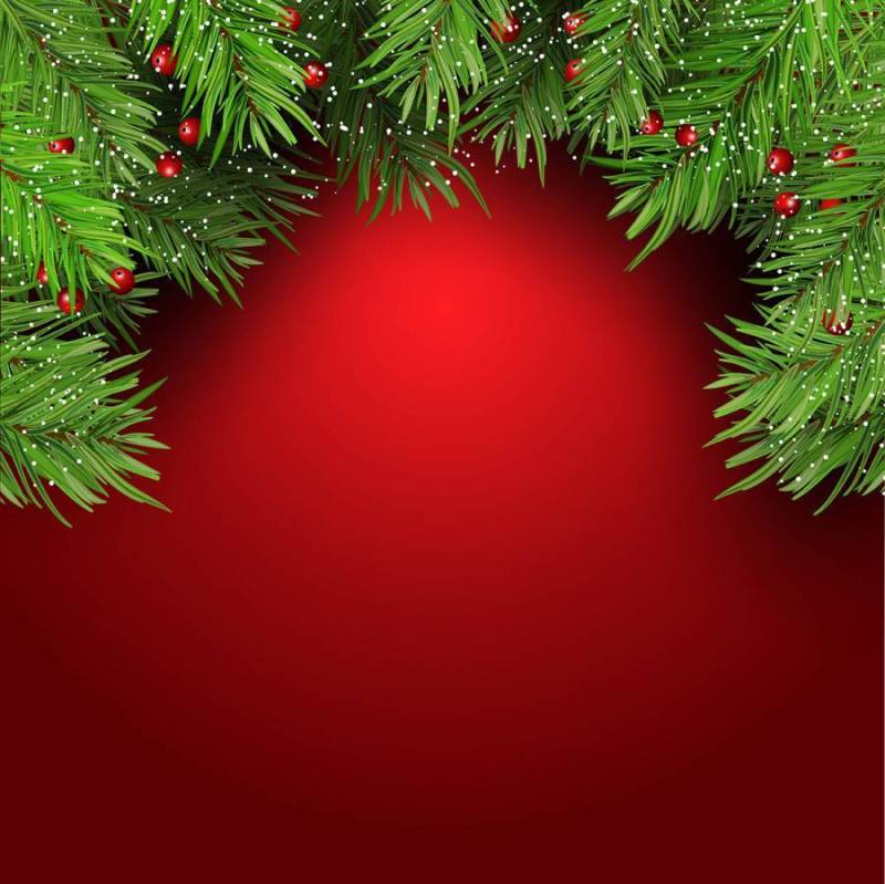 圣诞节背景与冷杉的树枝和浆果1410