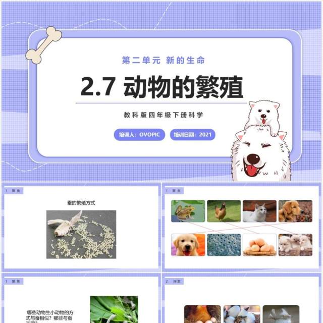教科版四年级下册动物的繁殖课件PPT模板