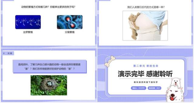 教科版四年级下册动物的繁殖课件PPT模板 教科版四年级下册动物的繁殖课件PPT模板