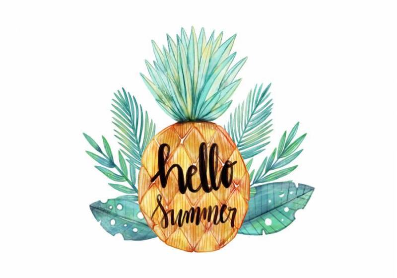 你好夏天水彩菠萝与热带树叶矢量