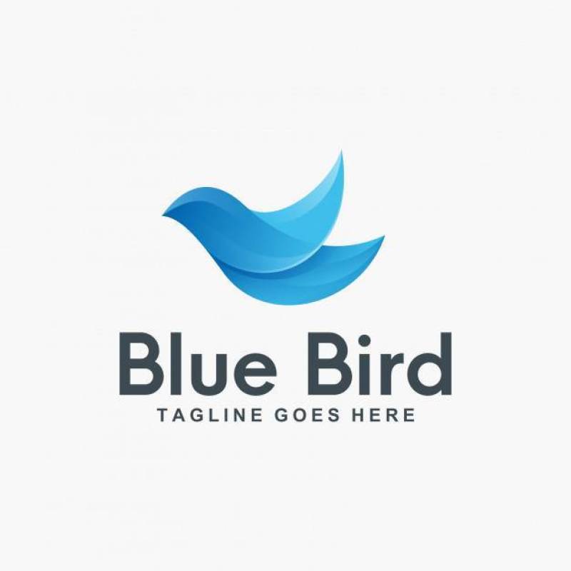 3D蓝鸟标志设计