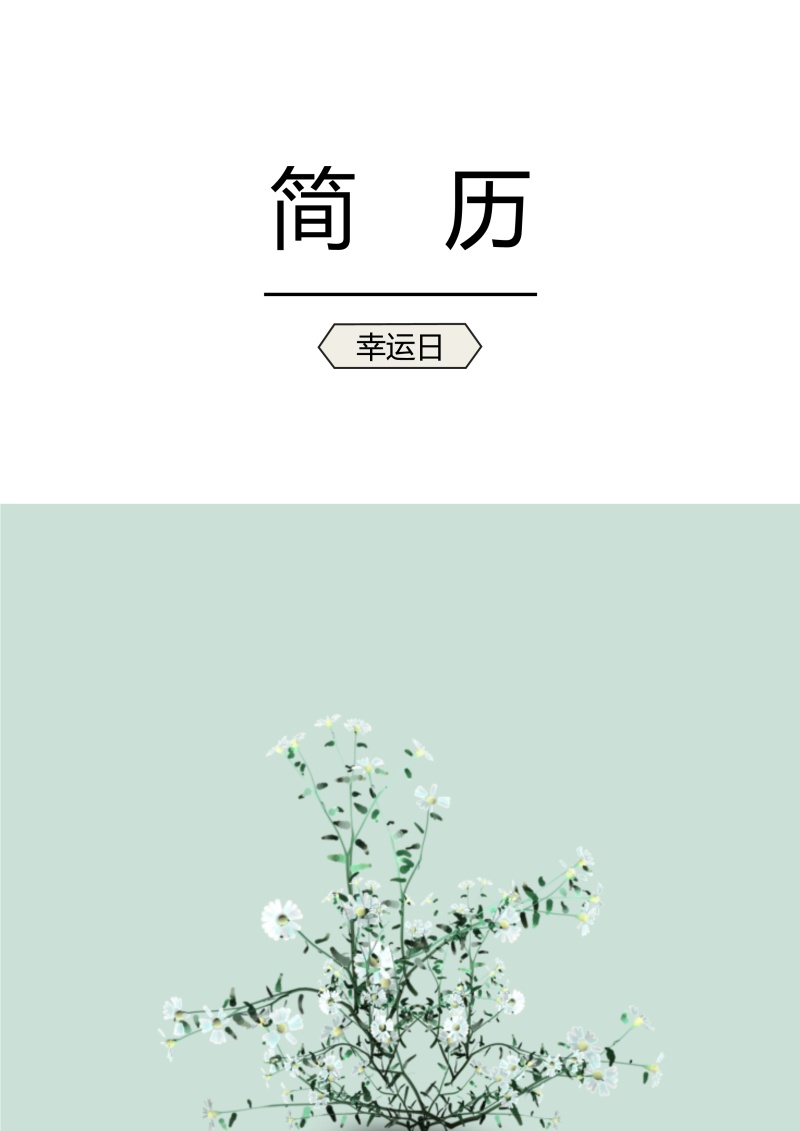 创意求职简历WORD封面模板29