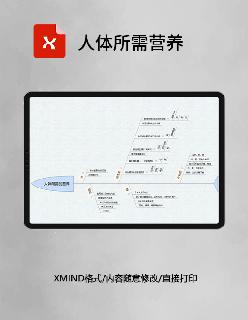 思维导图人体所需营养XMind模板