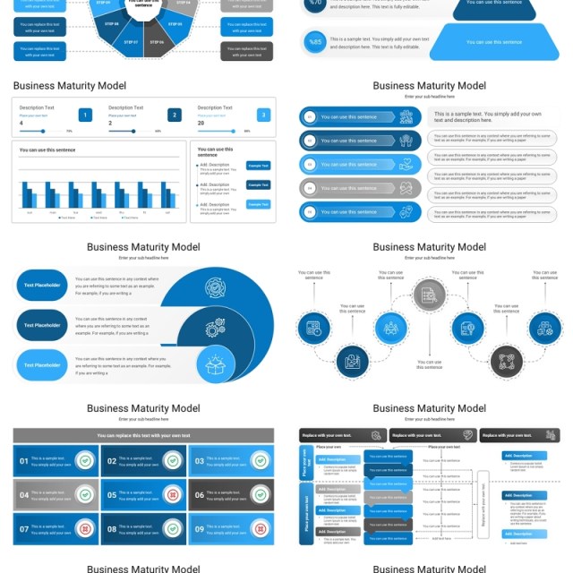 商业项目成熟度模型信息图PPT模板Business Maturity Model