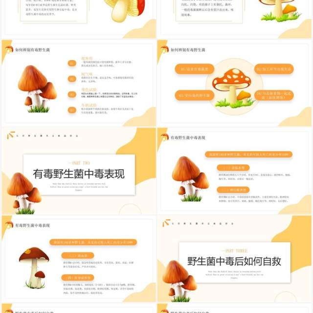 橙色简约风预防野生菌中毒宣传PPT模板 橙色简约风预防野生菌中毒宣传PPT模板